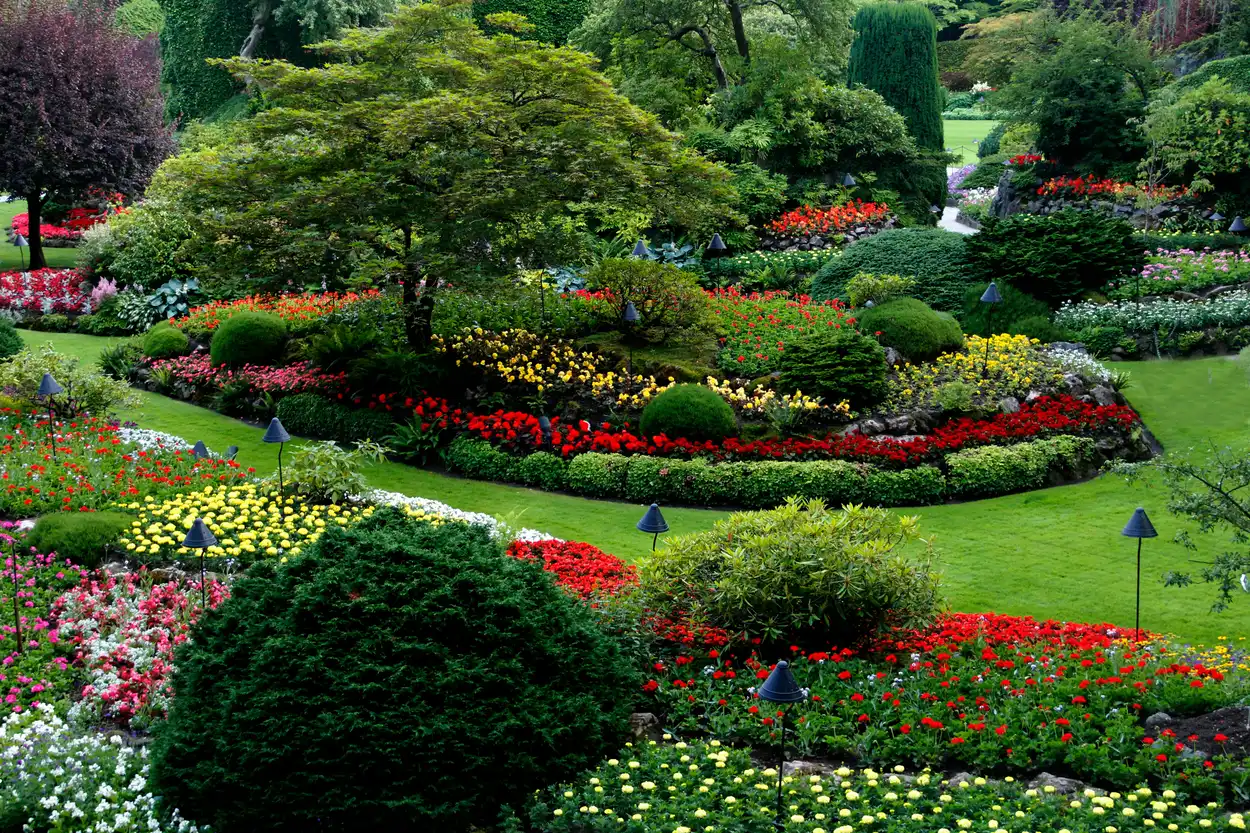Northern Lawns